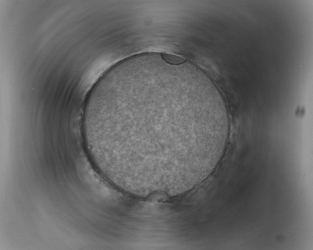 X0000113230098200910011418