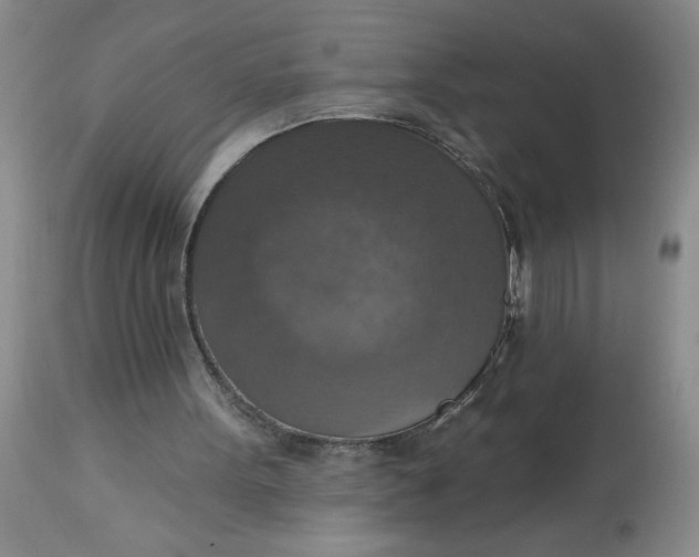 X0000113230099200910011418