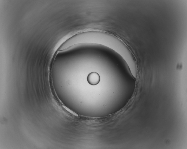 X0000113230100200910011418