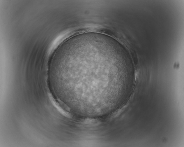 X0000113230101200910011418