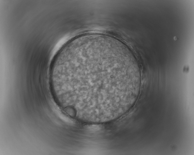 X0000113230102200910011418