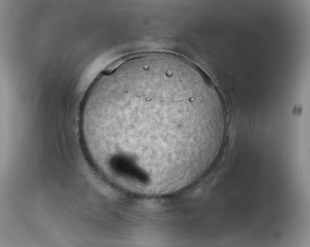 X0000113230103200910011418