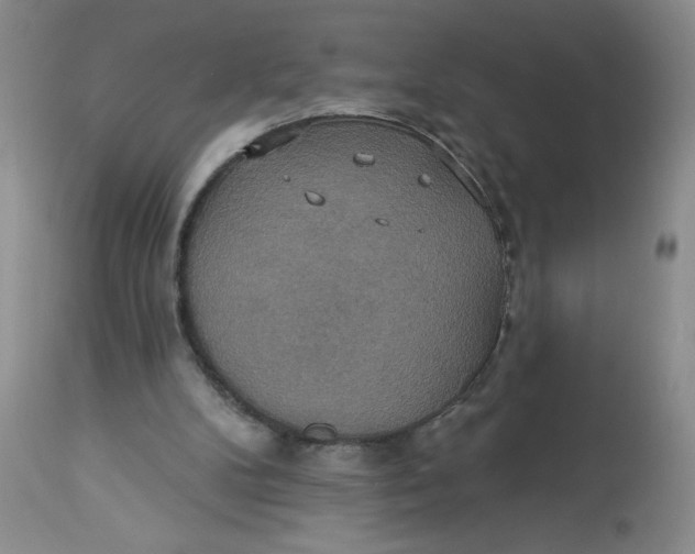 X0000113230104200910011418