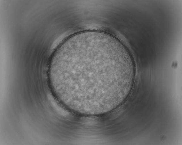 X0000113230106200910011418