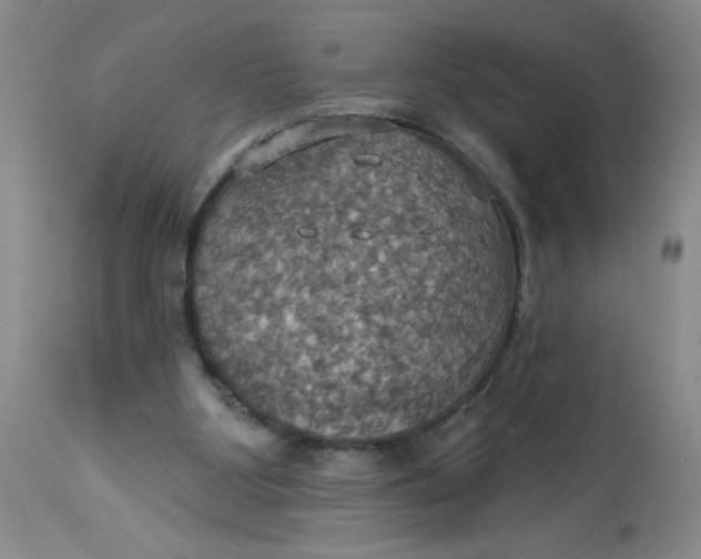 X0000113230107200910011418