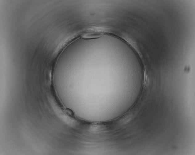 X0000113230109200910011418