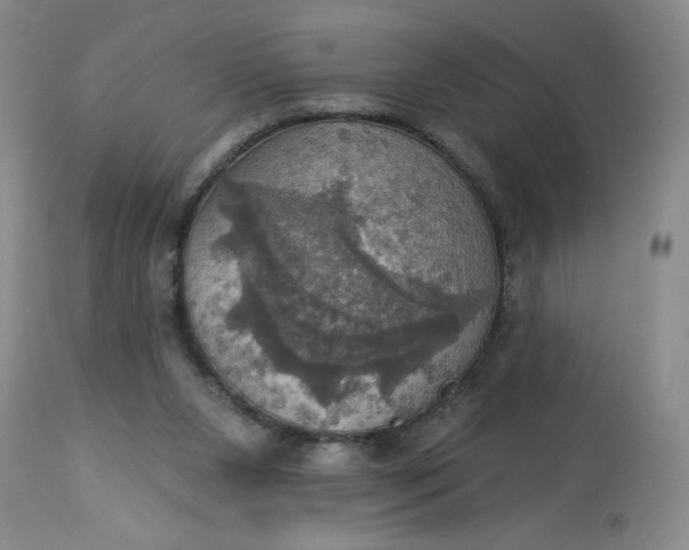 X0000113230111200910011418