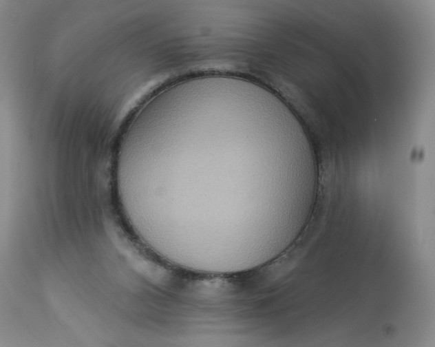 X0000113230112200910011418