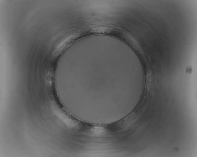 X0000113230114200910011418