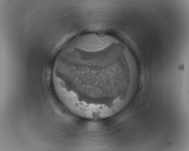 X0000113230115200910011418