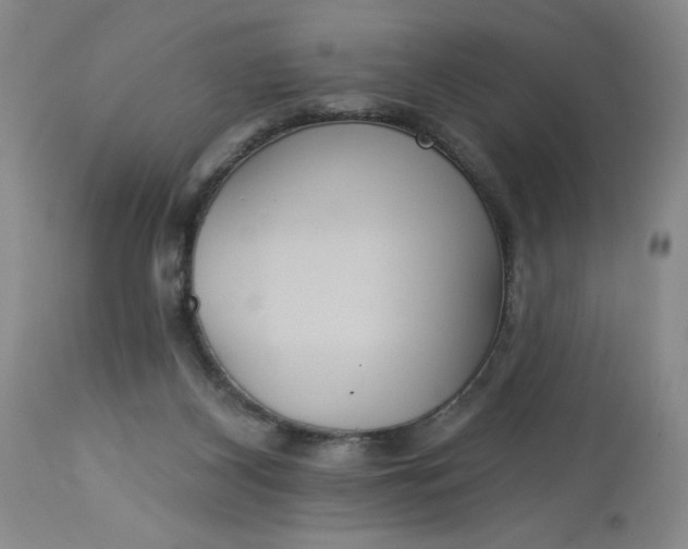 X0000113230116200910011418