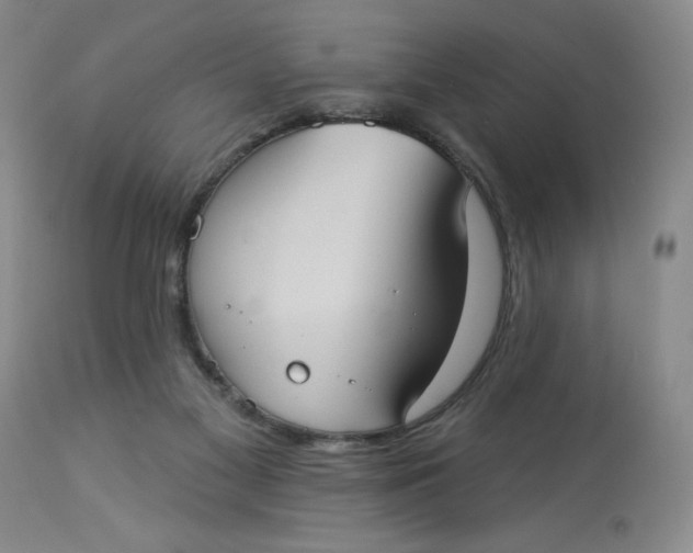 X0000113230117200910011418