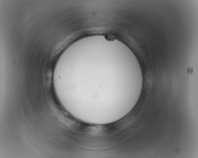 X0000113230118200910011418