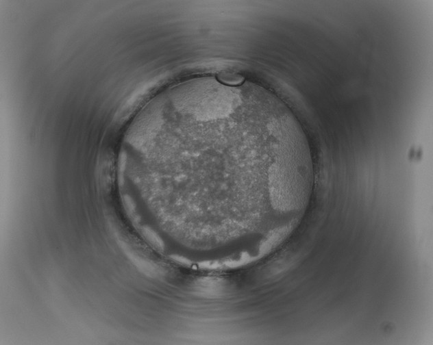 X0000113230119200910011418