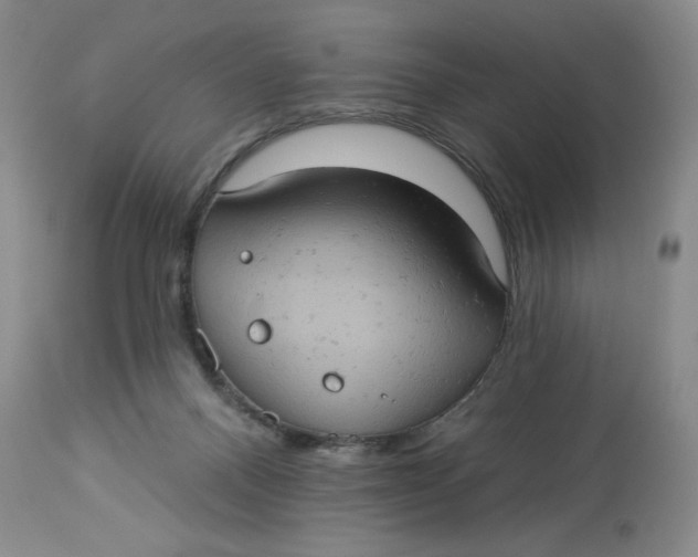 X0000113230120200910011418