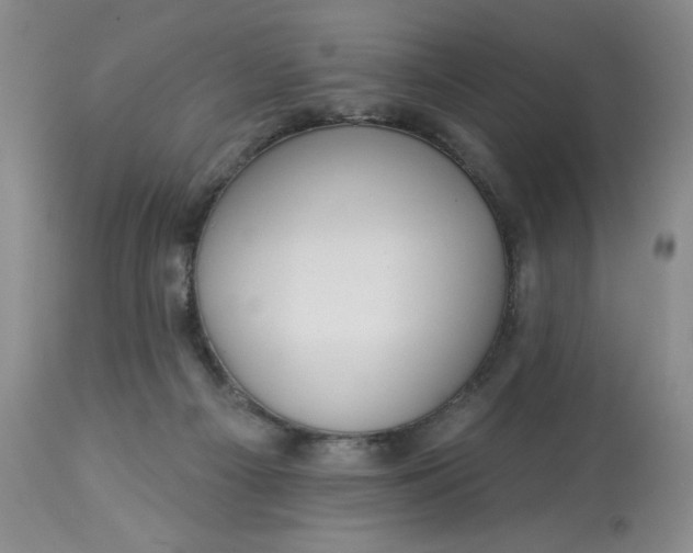 X0000113230121200910011418