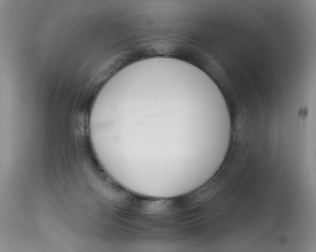 X0000113230122200910011418