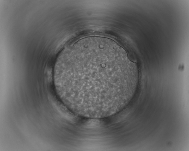 X0000113230123200910011418