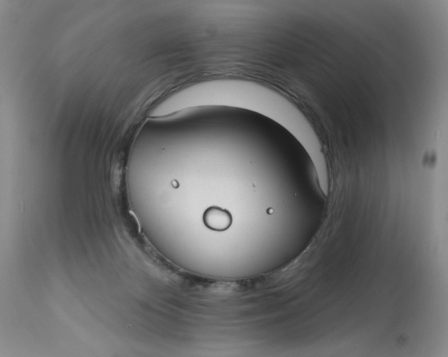 X0000113230124200910011418