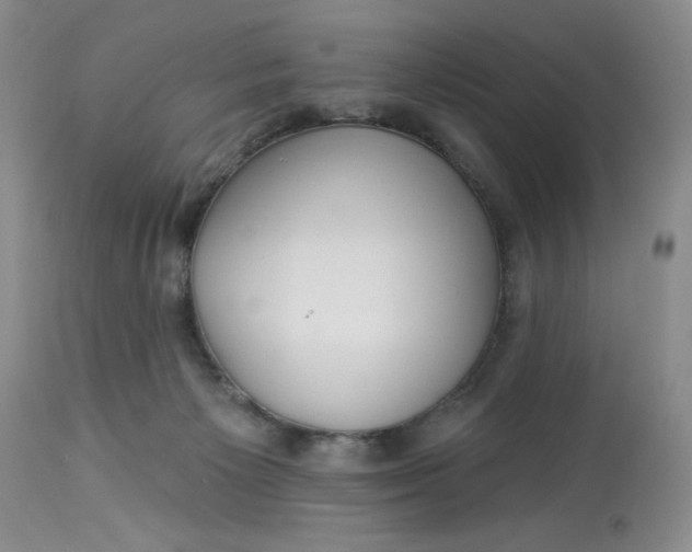 X0000113230125200910011418