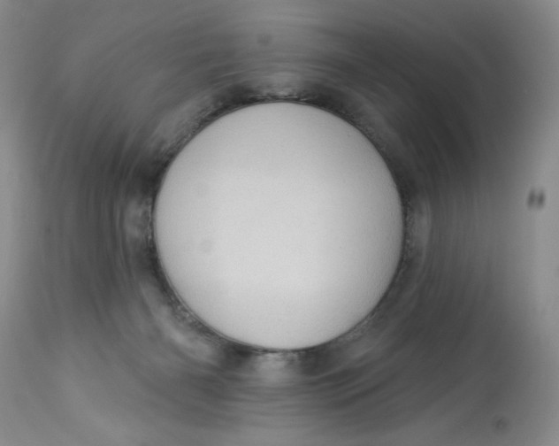 X0000113230126200910011418