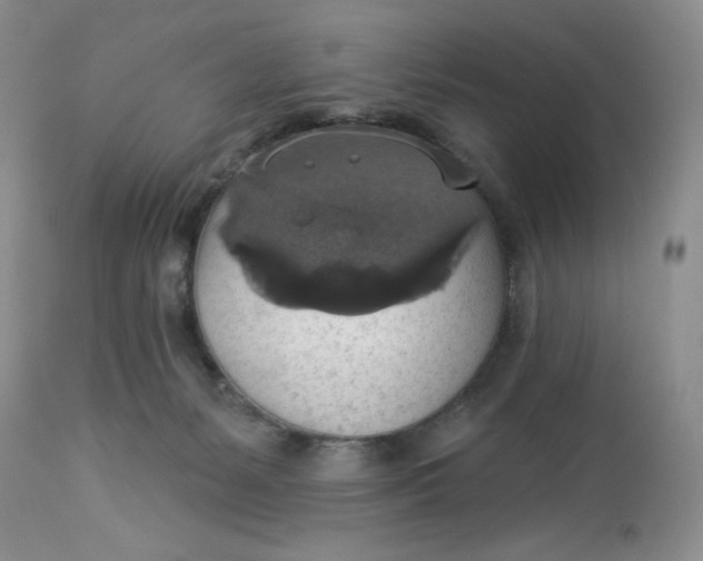 X0000113230127200910011418