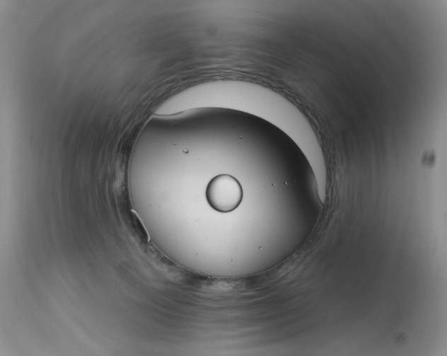 X0000113230129200910011418