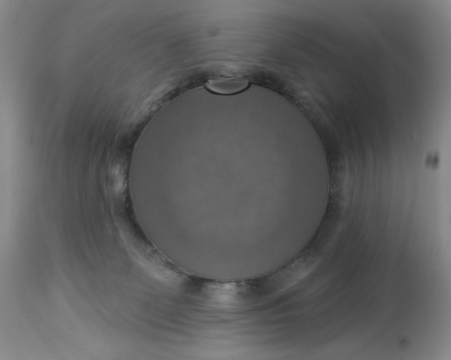 X0000113230131200910011418