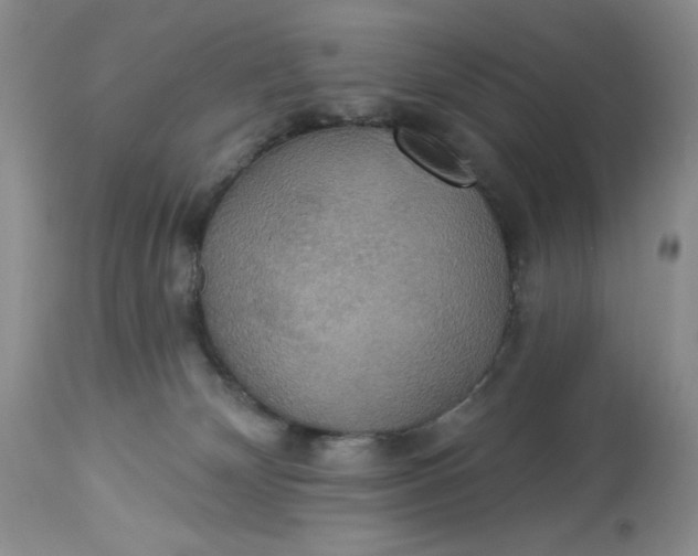 X0000113230132200910011418