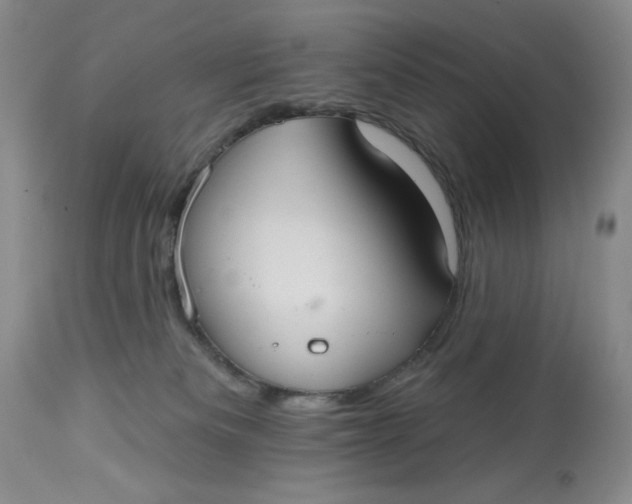 X0000113230133200910011418