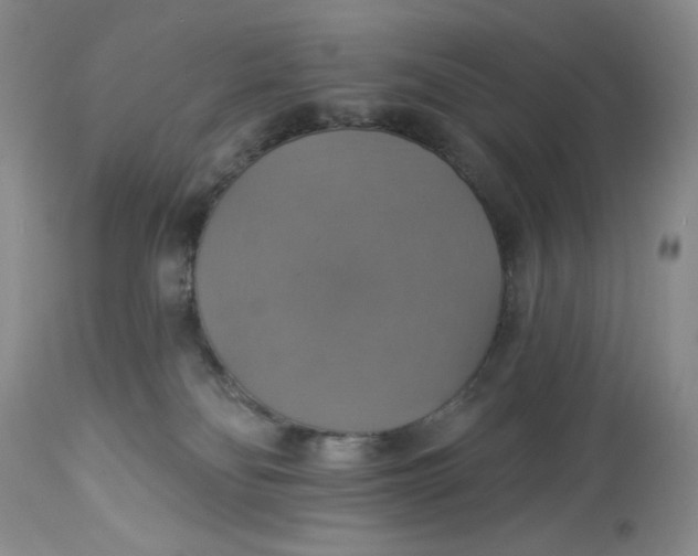 X0000113230134200910011418