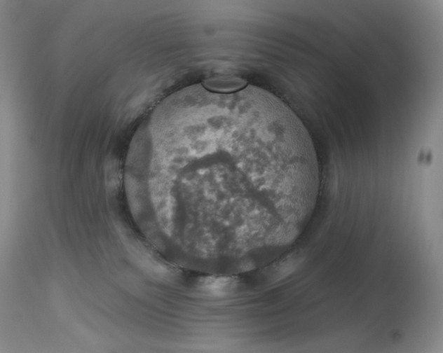 X0000113230135200910011418