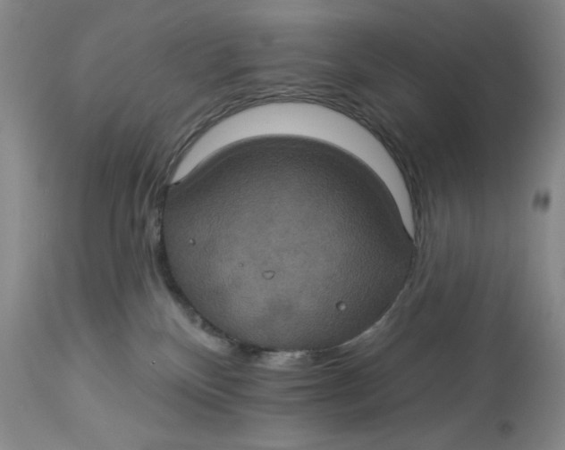 X0000113230136200910011418