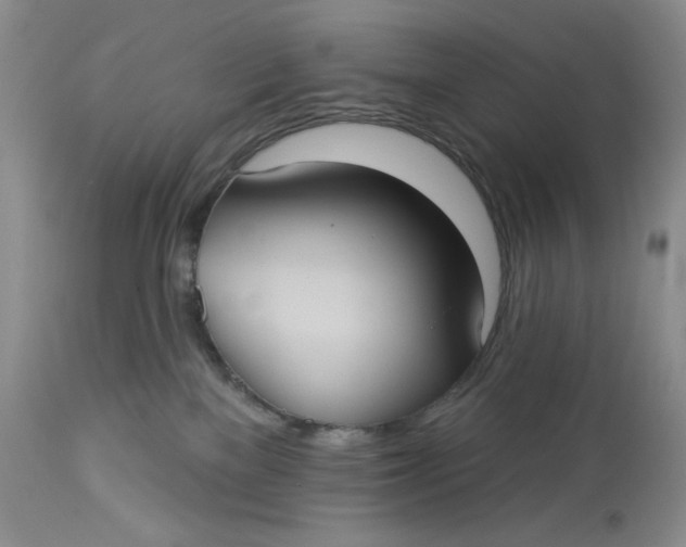 X0000113230137200910011418