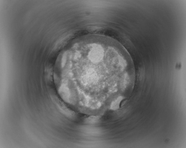 X0000113230138200910011418