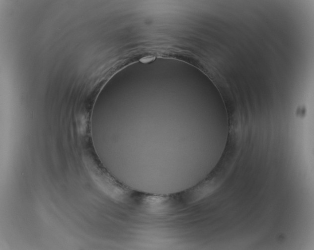 X0000113230139200910011418