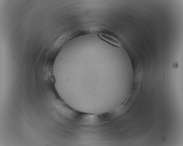 X0000113230140200910011418