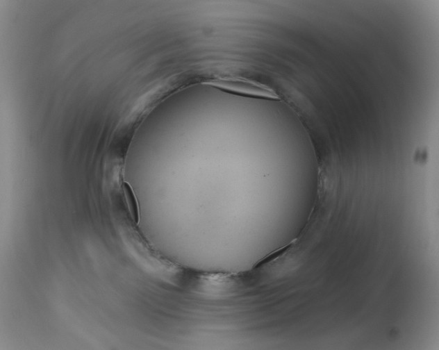 X0000113230141200910011418