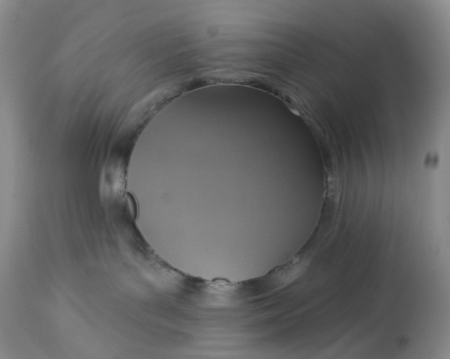 X0000113230143200910011418