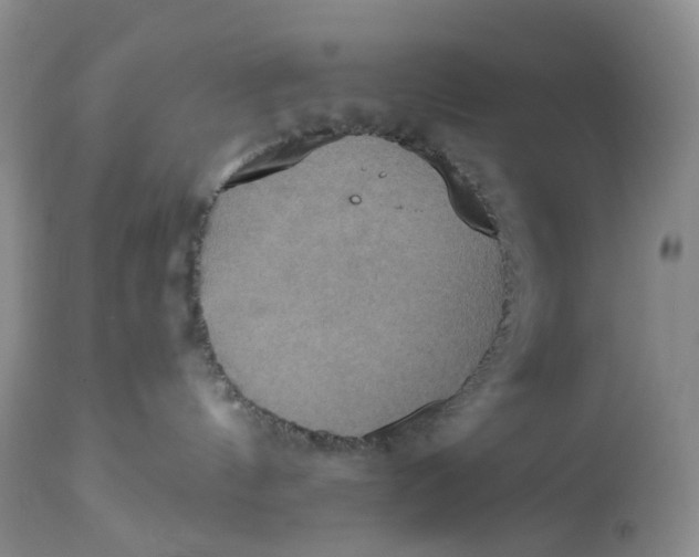 X0000113230144200910011418