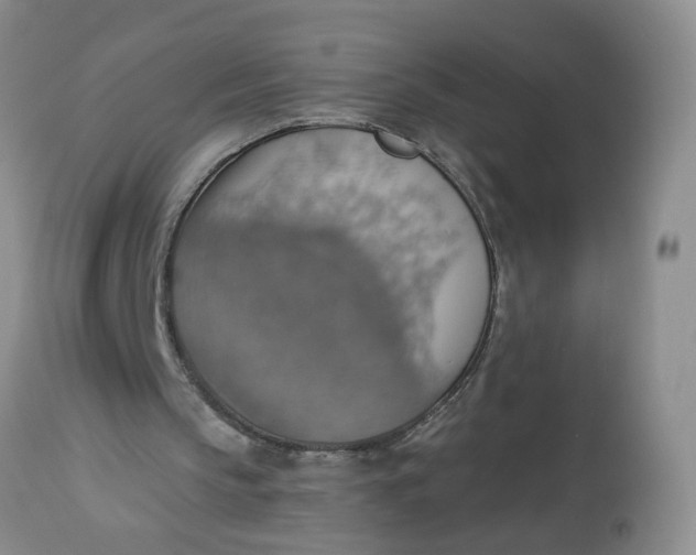 X0000113230145200910011417