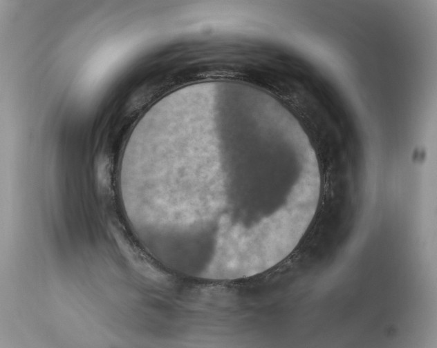 X0000113230146200910011417