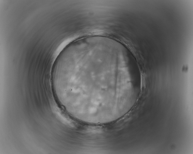 X0000113230147200910011417