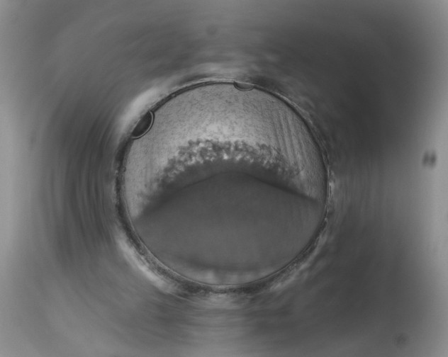 X0000113230149200910011417