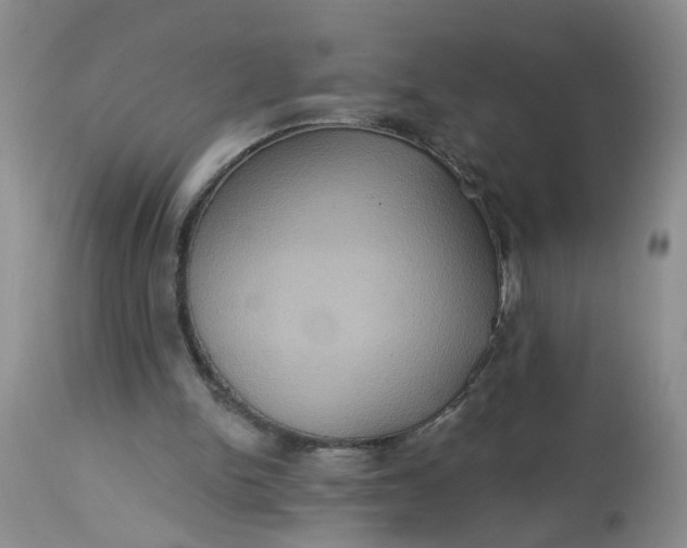 X0000113230150200910011417