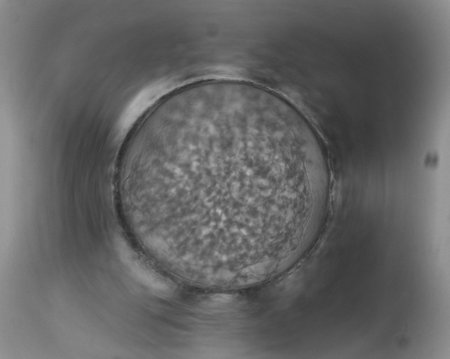 X0000113230151200910011417