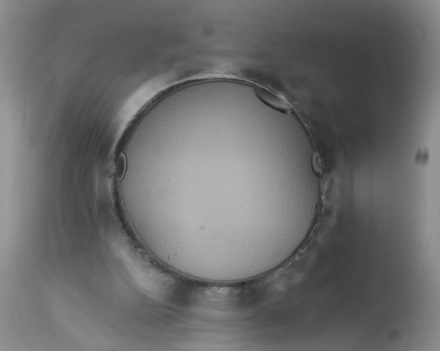 X0000113230152200910011417