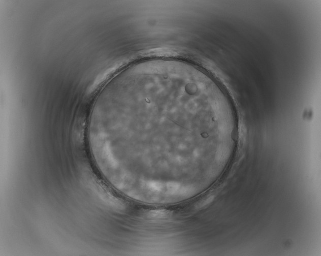 X0000113230153200910011417