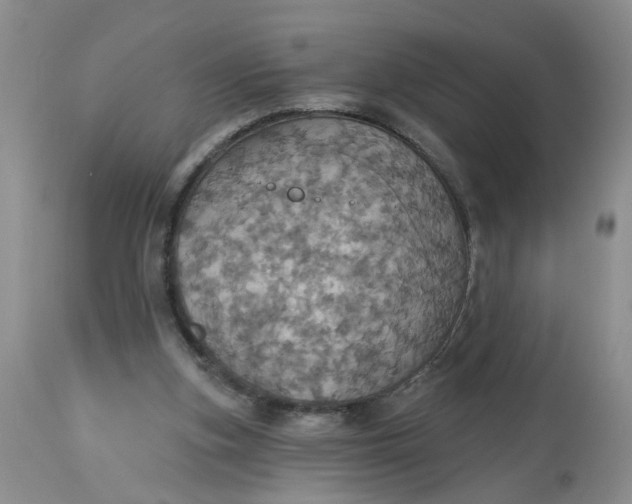 X0000113230155200910011417