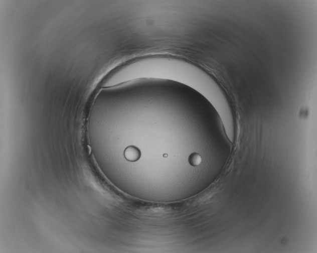 X0000113230156200910011417